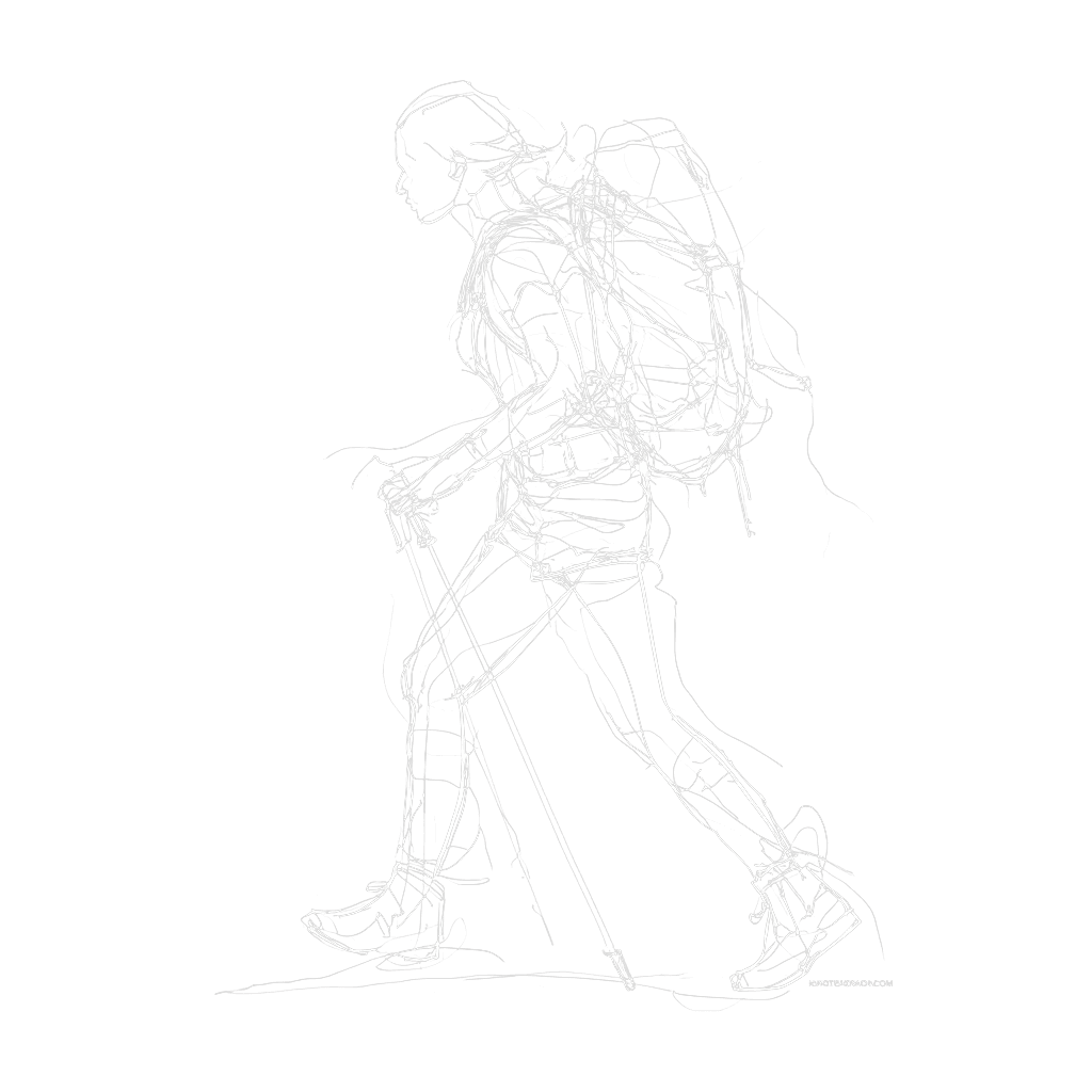 Line drawing of
