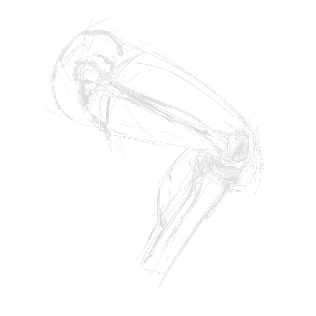 Rehab Knee