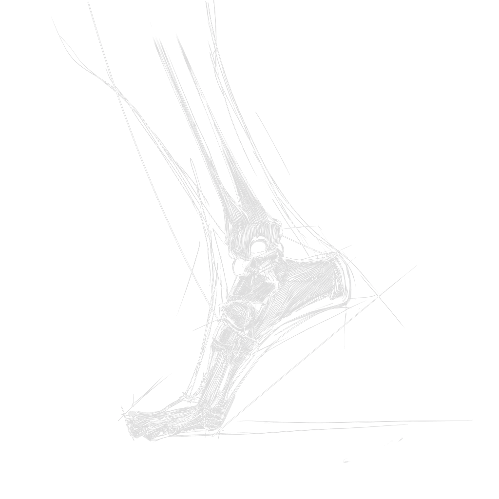 Rehab Ankle